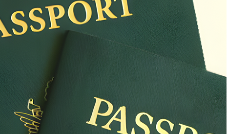 Official Passport